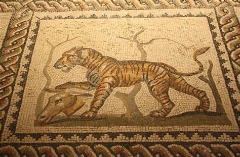 Ancient Roman Tiger Mosaic MATTHEW S ISLAND