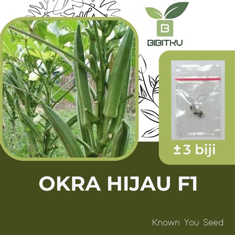 Jual Benih Okra Hijau F Greenie Known You Seed Shopee Indonesia