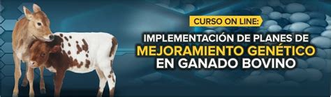 Curso On Line Implementación de Planes de Mejoramiento Genético en