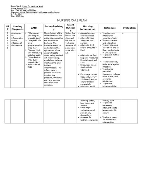 Nursing Care Plan For A 40 Year Old Male Patient Diagnosed With Acute Gastroenteritis And Severe