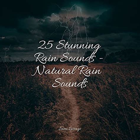 Amazon 25 Stunning Rain Sounds Natural Rain Sounds Sleep