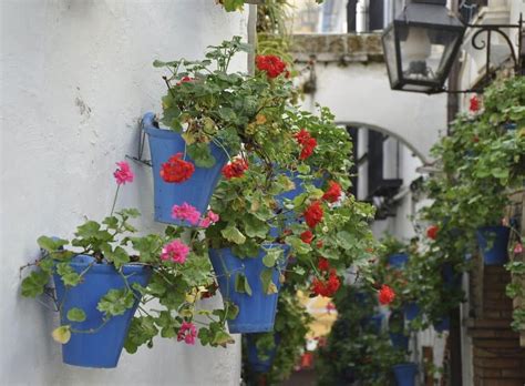 Calleja de las Flores un tesoro escondido de Córdoba Visítala