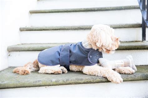 Luxury Dog Coats - Luxury Dog Jackets | Teddy Maximus