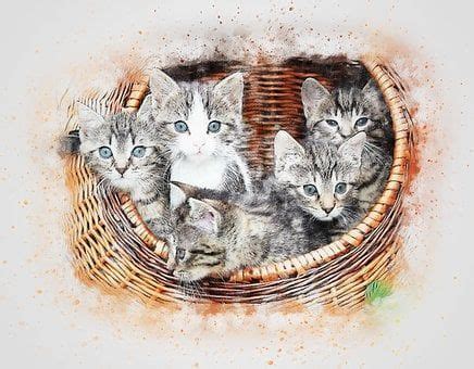 600 darmowych obrazów z kategorii Kot Rysunek i Kot Kittens Cat art