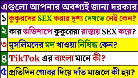 Bangla Gk Question And Answer Bangla Gk Bangla Quiz Bengali Gk Bangla