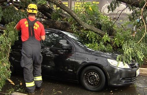 G1 Chuva Alaga Ruas Derruba árvores E Deixa Bairros Sem Energia Em