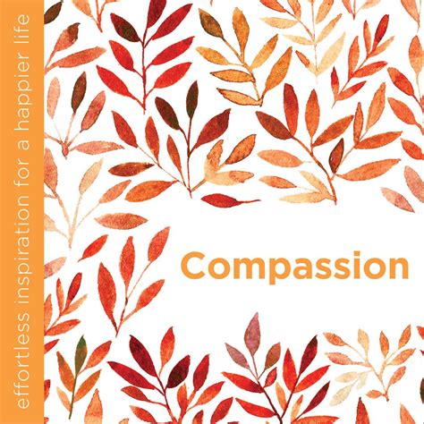 Campaigning For Compassion 8 Essential Tips We Need Now Positively