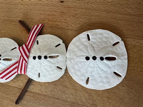 Sand Dollar Snowman Ornament Beach Coastal Decor Christmas Etsy