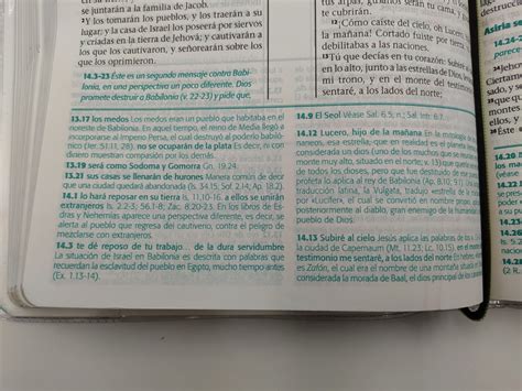 Biblia De Estudio Esquematizada 124859B Tapa Multicolor Vinilo Reina