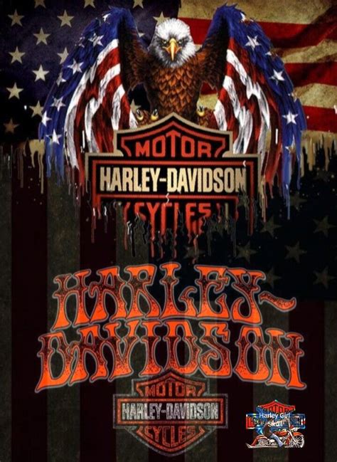 Pin By Floky On Eagle Harley Davidson Artwork Harley Davidson Logo