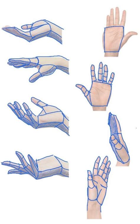 How To Draw Hands Beginner Advanced Hand Drawing Tips Artofit