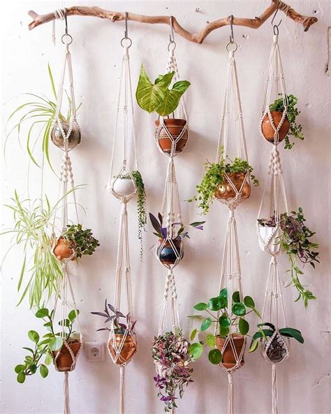 Hanging Plant Pots For Indoors Back Gardener