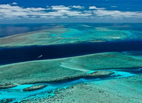 Reef Management Strategies Gbrmpa
