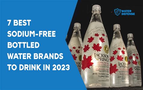 7 Best Sodium Free Bottled Water Brands To Drink In 2023