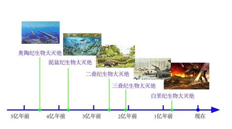 生命在地球上的历史三物种大灭绝的原因 耀斑