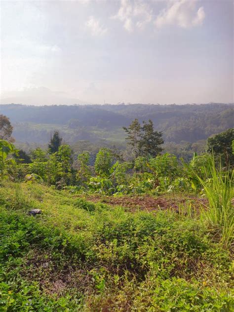 View Of The Valley Between Two Hills Stock Photo Image Of Flower