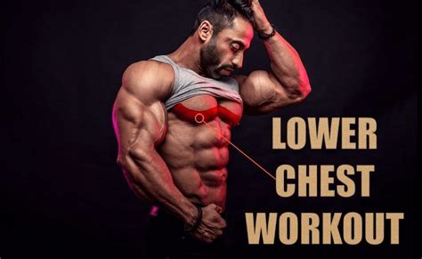 Exercises For Lower Chest Bodybuilding At Sheila Medina Blog