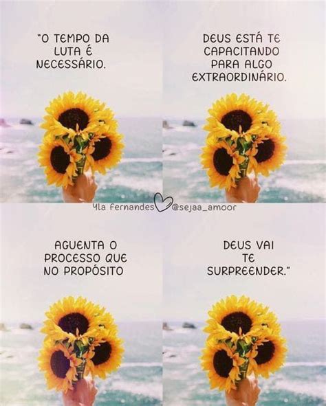 Pin De Claudia Sunshine Em Mensagem Edificante Frases