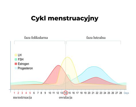 Cykl menstruacyjny a dieta jak odżywiać się zgodnie z cyklem