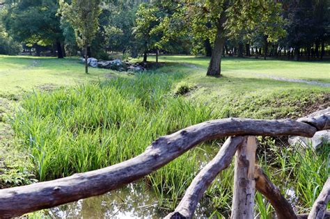 România Craiova Parcul Nicolae Romanescu Visator prin lume 7226