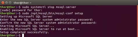 How To Install Sql Server On Ubuntu