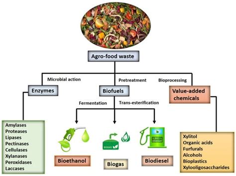 Catalysts Free Full Text Agro Industrial Food Waste As A Low Cost