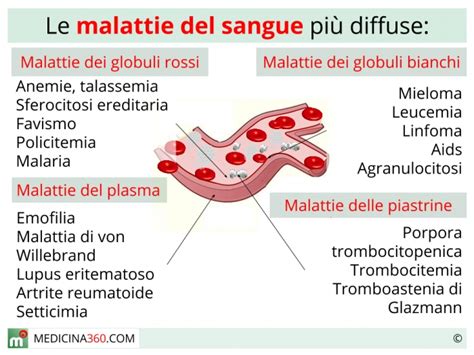 Malattie Del Sangue Quali Sono Sintomi Ed Elenco