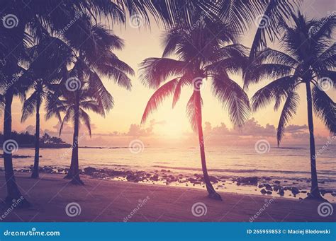 Tropical Beach With Silhouettes Of Coconut Palm Trees At Sunset Color