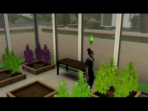 Sims Porno Loquendo XVIDEOS