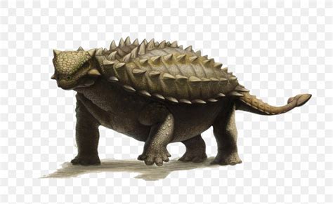 Ankylosaurus Talarurus Late Cretaceous Acanthopholis Euoplocephalus