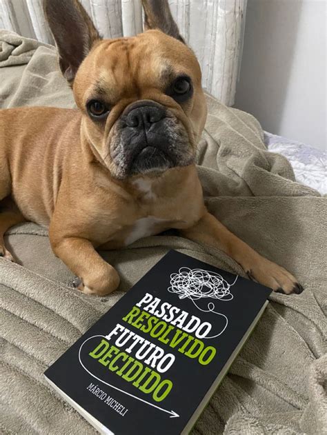 Passado Resolvido Futuro Decidido Livros Passo A Passo