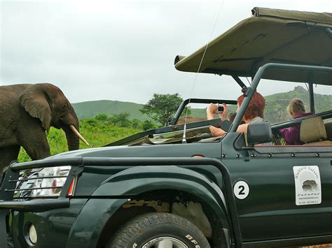 Explore Umfolozi Big Game Reserve An Unforgettable Safari Experience