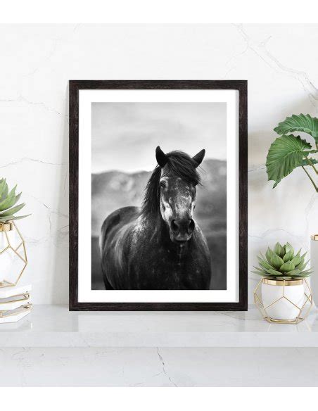 Tableau Cheval Noir Et Blanc Affiche Animaux