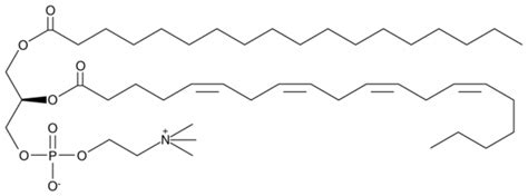 Stearoyl Arachidonoyl Sn Glycero Pc Cas Cayman