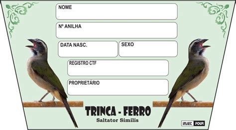 Placa De Identificação Luxo Para Trinca Ferro 527 T R 12 00 em