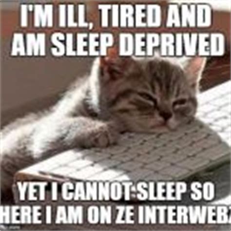 tired cat Meme Generator - Imgflip