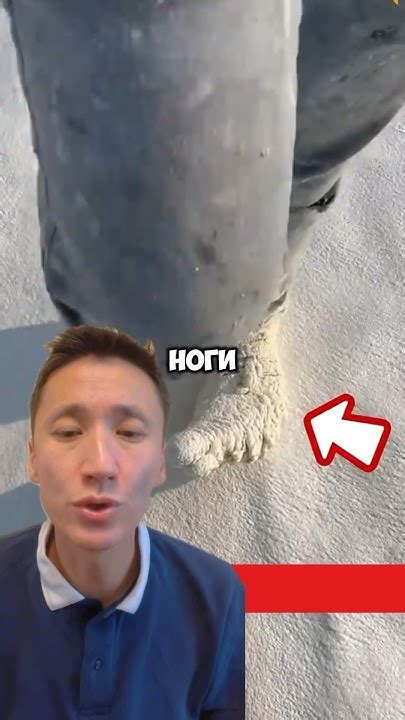 Опасная работа с полиуретановой пеной - YouTube