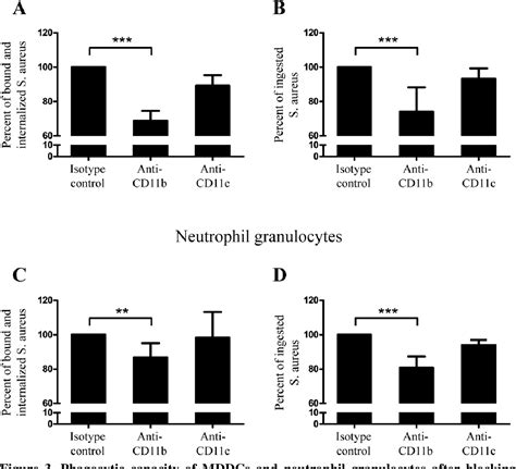 Figure From The Role Of Cr Cd B Cd And Cr Cd C