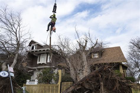 Storms wrecked California’s ‘City of Trees.’ See the storm's ...