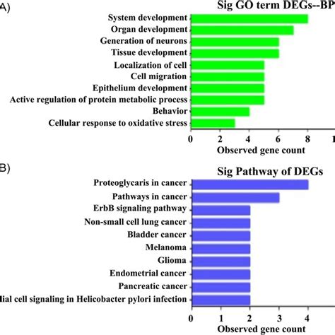 Go Analysis And Kegg Analysis A The Degs Of The Bp By Go Analysis Download Scientific