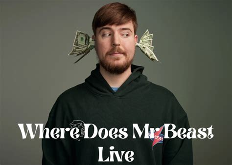 Where Does Mr Beast Live Address 2025 David M Williams