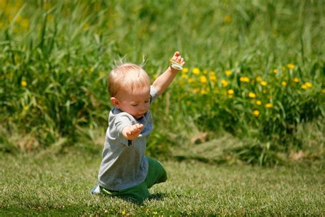 stumbling steps journey   heart