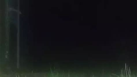 Kigurumi Doll Cumshot Free A Shemale Hd Porn D Xhamster