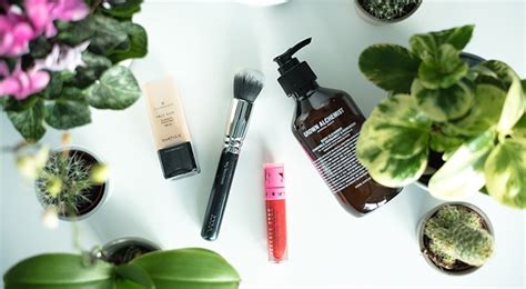 Top 4 Best Vegan Beauty Products to Try