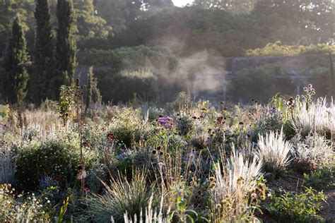 National Garden Scheme Knepp Castle Open For The Ngs Sussex Local