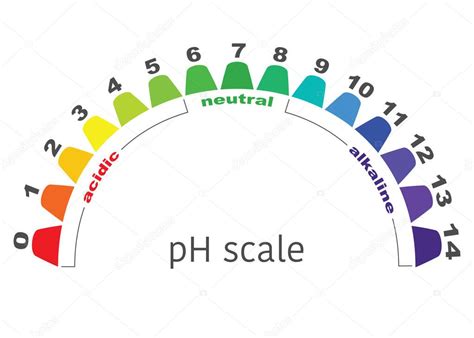 escala de valor ph para soluciones ácidas y alcalinas equilibrio ácido