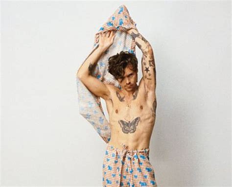 Harry Styles Nude Photos Videos Gay Male Celebs