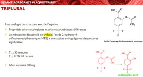 Chimie thérapeutique S2 molécules 2023 Flashcards Quizlet