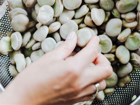 Fava Beans Vs Lima Beans What Is The Difference All The Differences