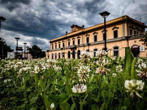 cosa fare  vedere   giorno aversa taxi servizio pubblico comune